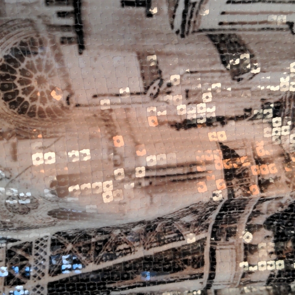 Sequin Tank - Picture 6 of 7